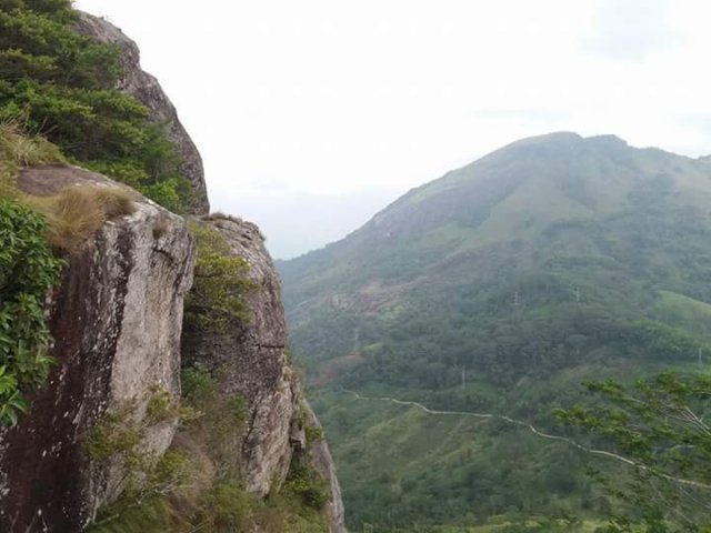 Nature